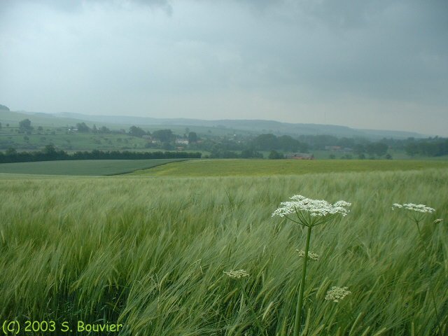 Vallée de la Béthune