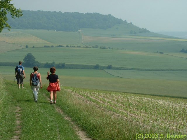 Vallée de la Béthune (1)