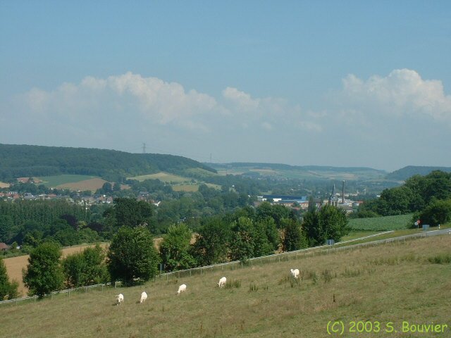 Arques la Bataille