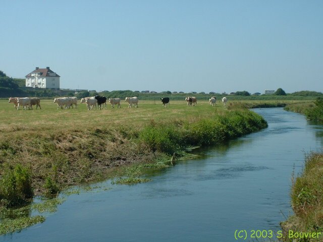Criel sur Mer (Yères 1)