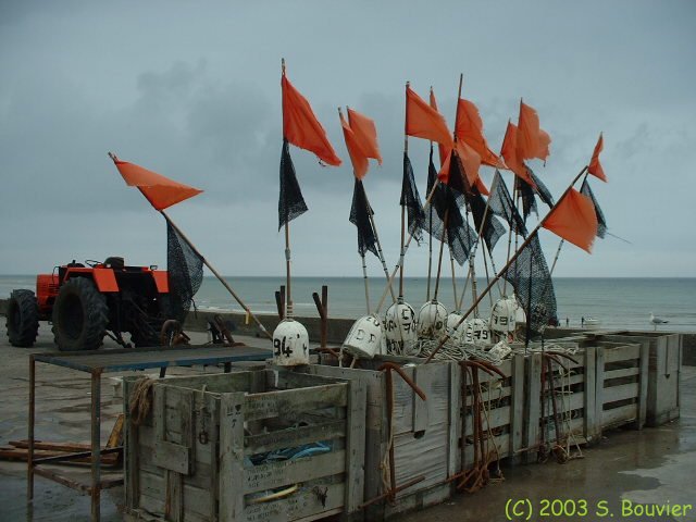 Drapeaux et filets (1)