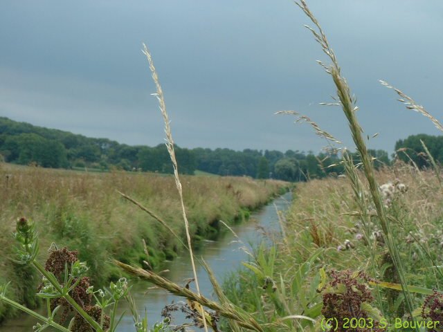 Dun (canal)