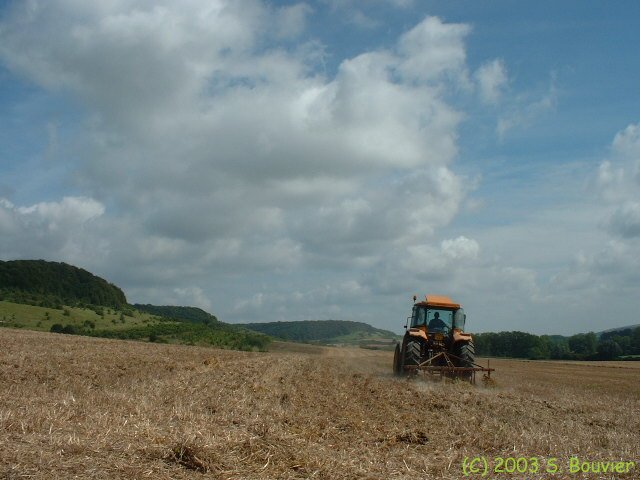 Cuverville sur Yères (Labourage)