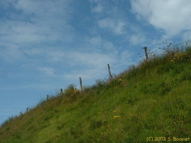Avesnes en Val (Cloture)