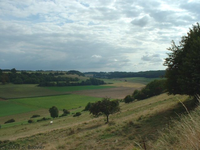 Fond d'Avesnes (2)