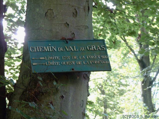 Forêt d'Eawy (Panneau)