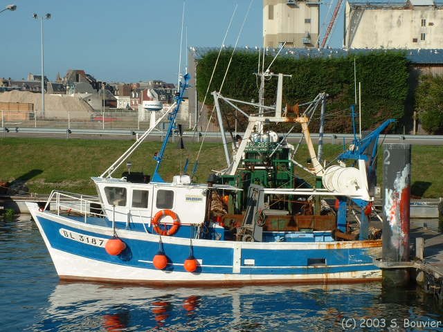 Le Tréport (Chalutiers)