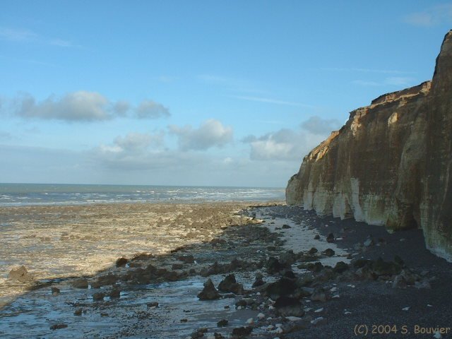 Sotteville sur Mer (Côte 1)