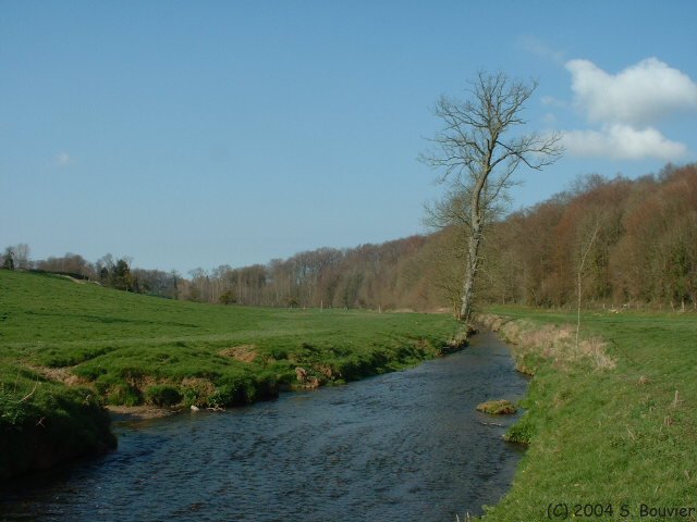 Lammerville (Vienne 1)