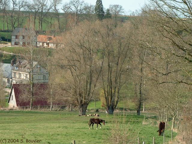 Lammerville (Chevaux)