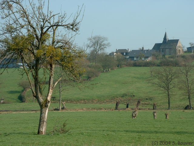Fontaine en Bray (Prairie)