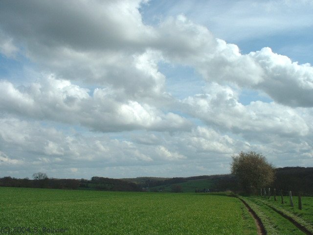 Varenne (Vallée)