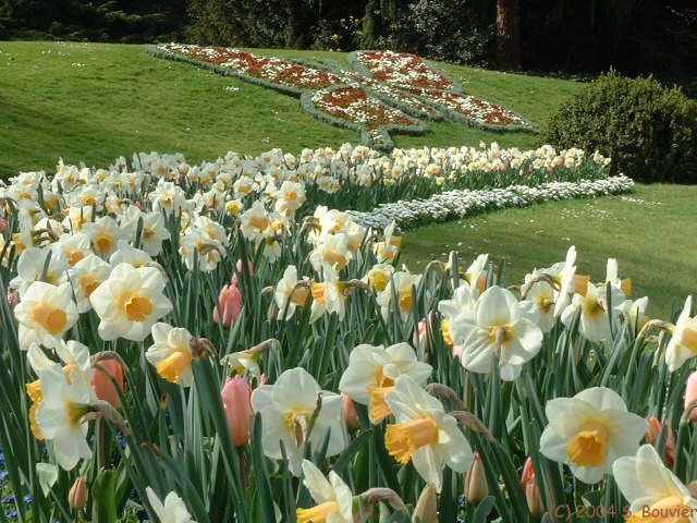 Jardin des Plantes (5)