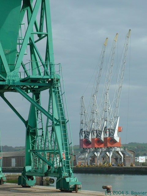 Dieppe (Grues)