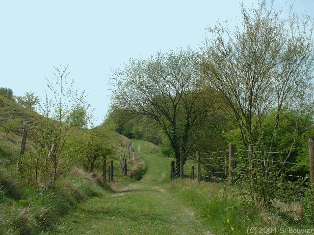 Vallée d'Acon (Chemin)
