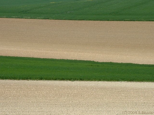 Quatre Bandes