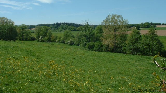 Vallon de la Canche