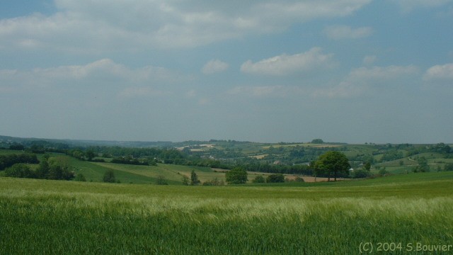 Vallée du Thérain