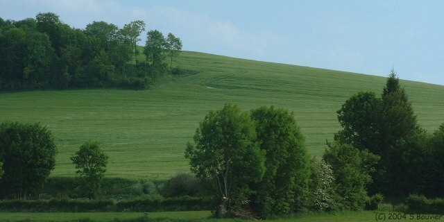 Côte de Caumont
