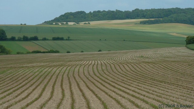Beaussault (Blanc Fossé)