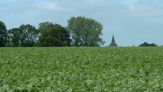 Ste Foy (Clocher 1)