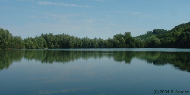 Ponts et Marais (Etang 2)