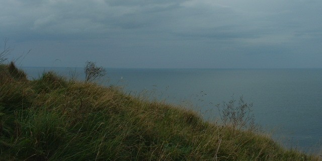 Bord de la Falaise