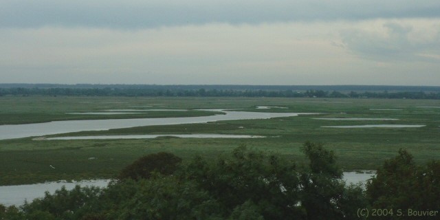 St Valery sur Somme (Mollières)