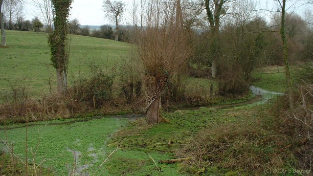 Bailleul Neuville (Sources)