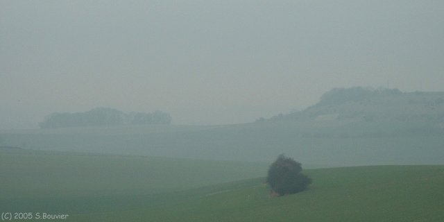 Vallée de l'Eaulne (Mont)