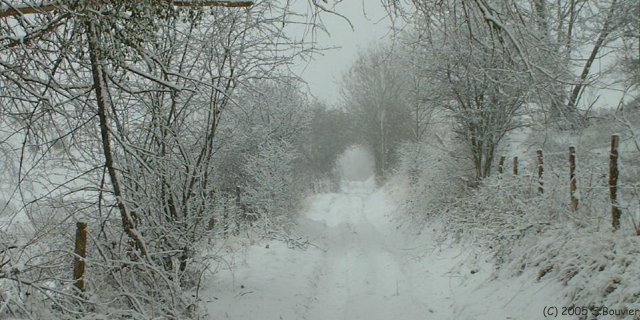 Chemin enneigé (2)