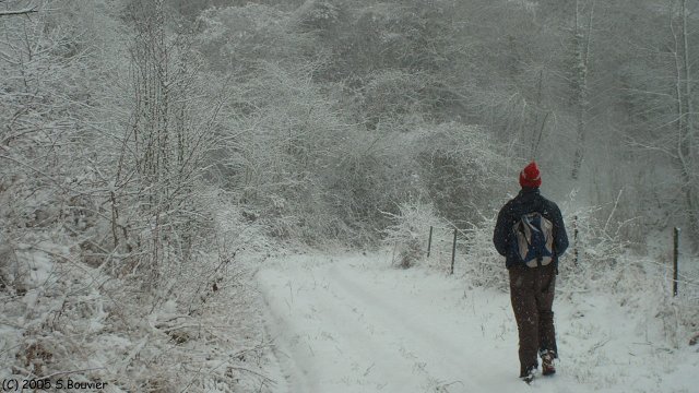 Mont Glodenne (Descente)