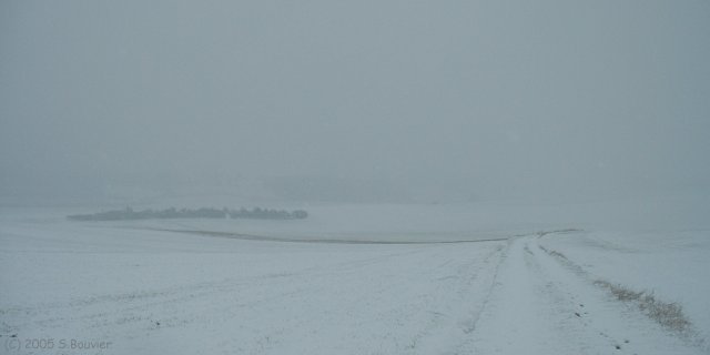 Chemin enneigé (3)