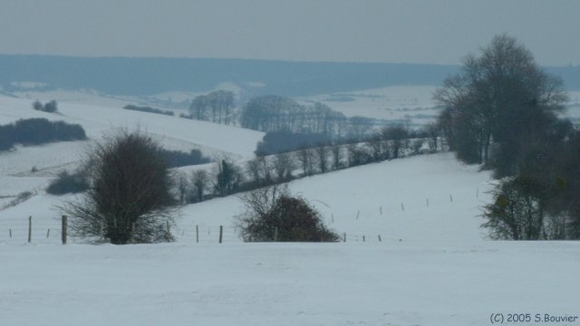 Fond de Preuseville (1)