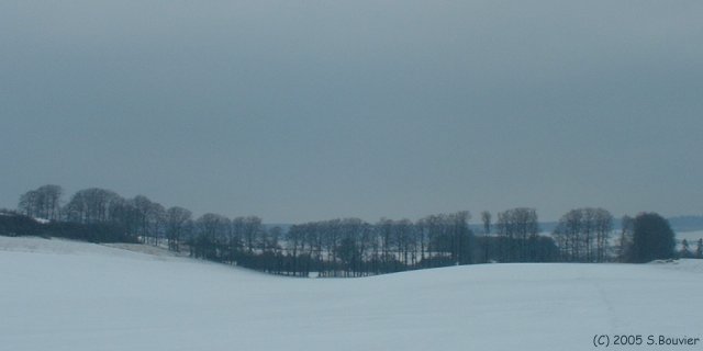 Fond de Preuville (2)
