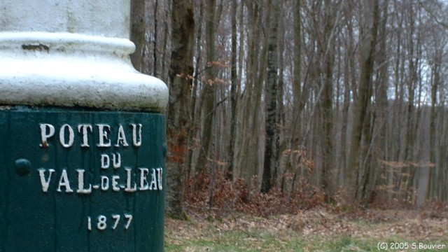 Haute Forêt d'Eu (Poteau 1)