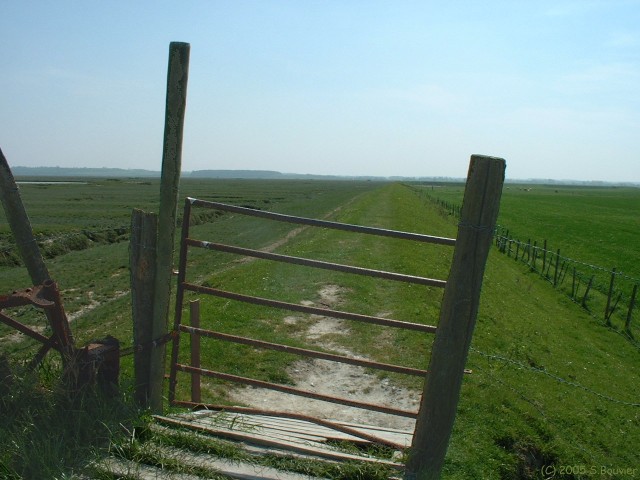Digue (Barrière)