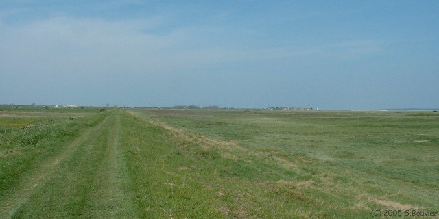 Digue (Chemin)