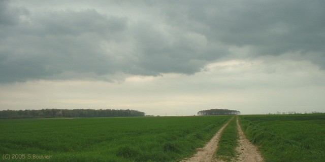 Toeufles (Chemin)