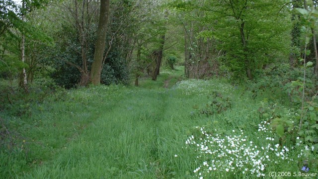 Zoteux (Chemin)