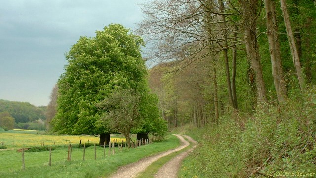  Vallée de Miannay