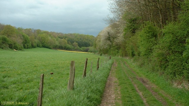 Fond des Auteux (1)