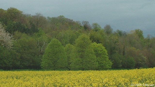 Fond des Auteux (2)