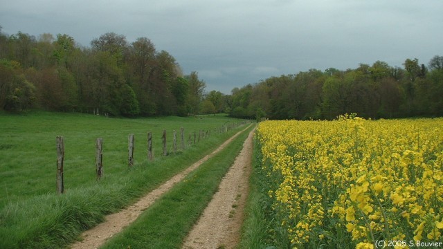 Fond des Auteux (4)