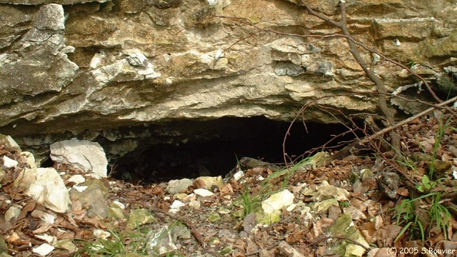 Forêt de la Londe (Grotte)