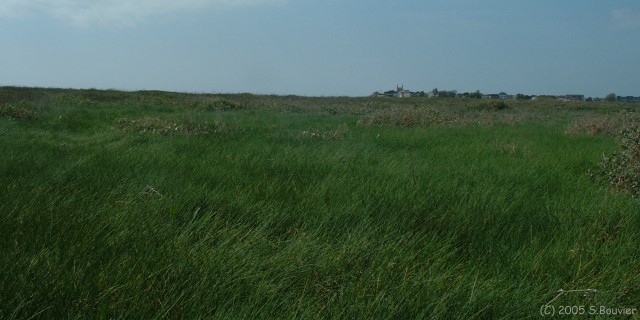 Le Crotoy (3)