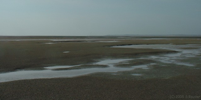 Baie de Somme (Vue)