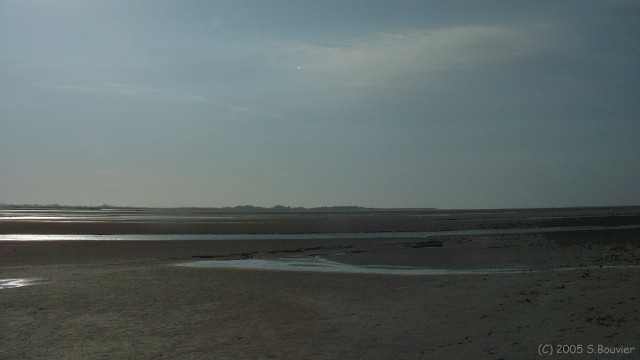 Baie de Somme (Hourdel)