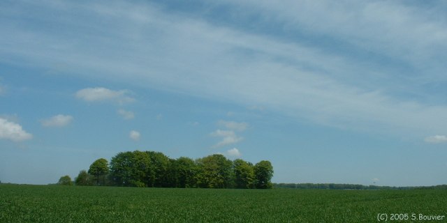 Champ, Bois et Ciel