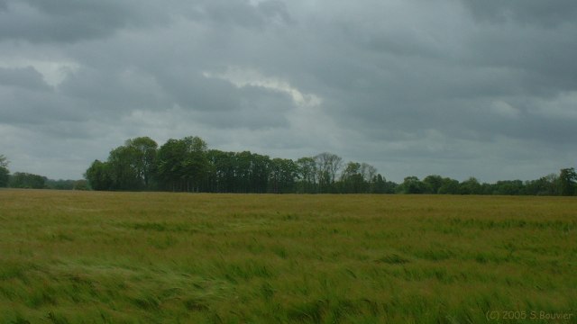 Plaine de Veauville (Orge)